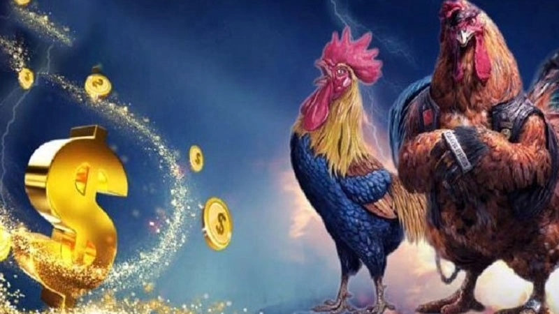 Đá Gà trực tiếp 888B - Xem Bản Live “Cực Nét” Tại 888B 3 Đăng nhập 888B để theo dõi trận đấu và tham gia cá cược